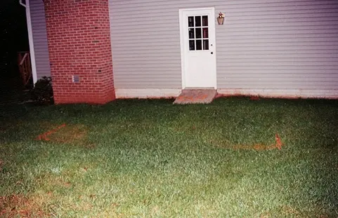 Professional Masonry Installation